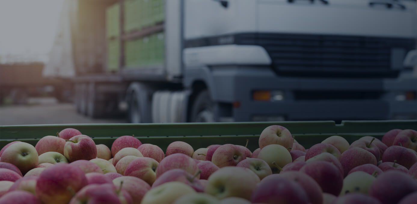 transporters of foods | Lexicon Networks